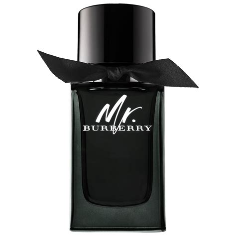 burberry mr parfum 100 ml